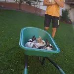 Alloggio per agriturismo Bioferienhof Brueckler *