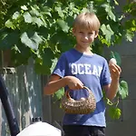 Alloggio per agriturismo Bioferienhof Brueckler Laussa