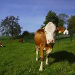 Bioferienhof Brueckler Alloggio per agriturismo *