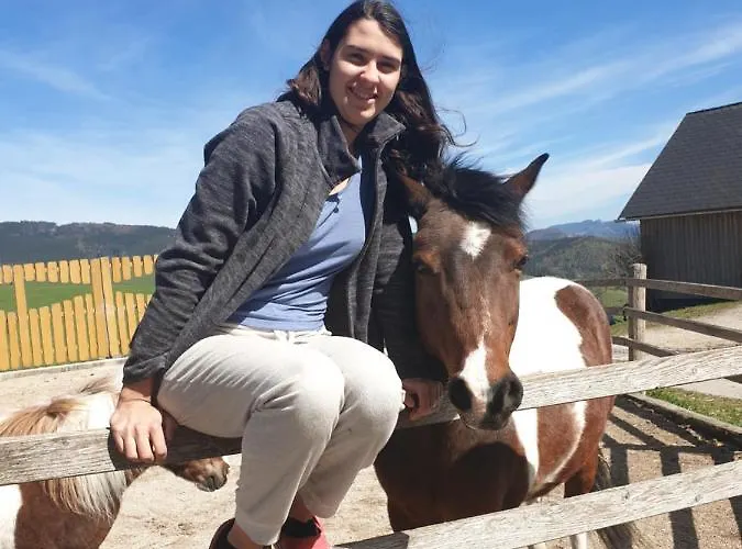 Bioferienhof Brueckler * Laussa