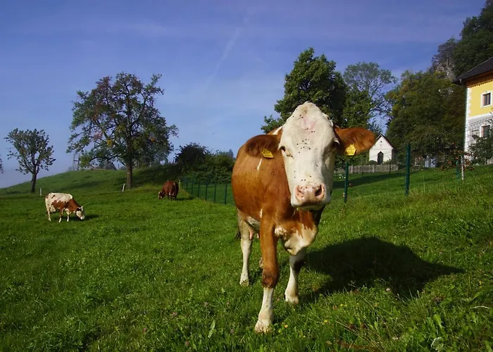 Bioferienhof Brueckler Çiftlik konaklama *