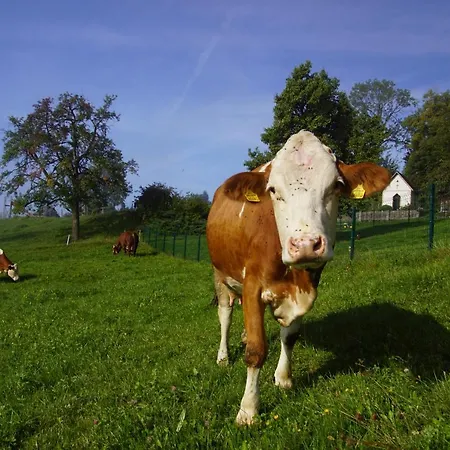 Bioferienhof Brueckler בית חווה *