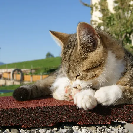 בית חווה Bioferienhof Brueckler