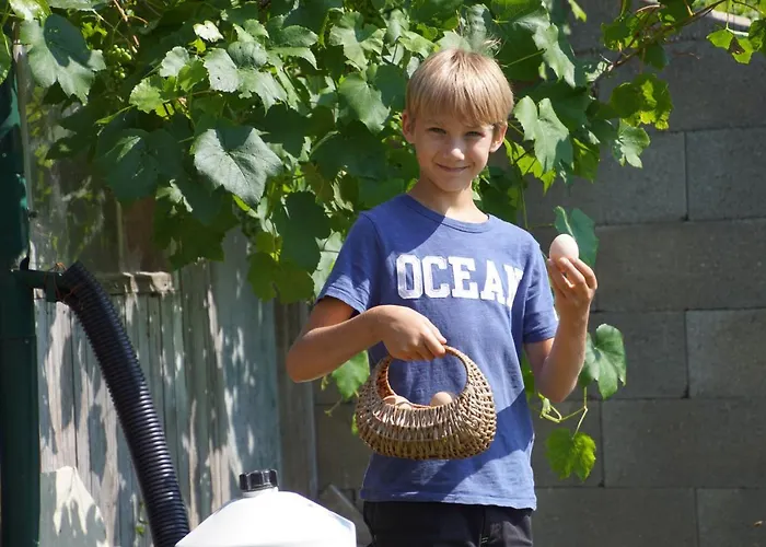 Κατάλυμα σε φάρμα Bioferienhof Brueckler Laussa