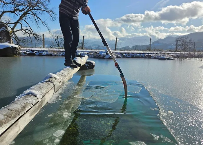 Bioferienhof Brueckler *