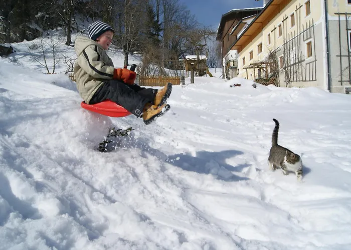 Bioferienhof Brueckler Laussa